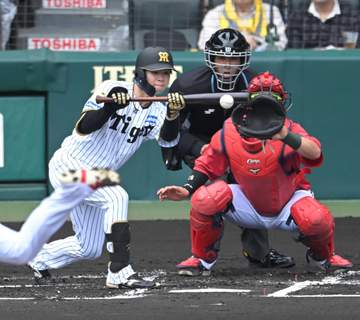 【阪神CS突破へ展望・打者編】先に点を取って優位に進めたい 初回からバントの可能性も 岡義朗氏