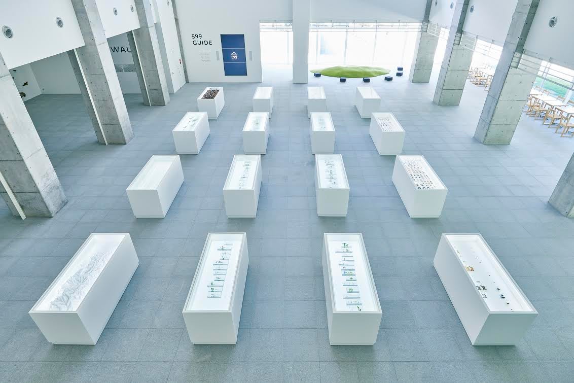 NATURE COLLECTION／Photo／Taiji Yamazaki