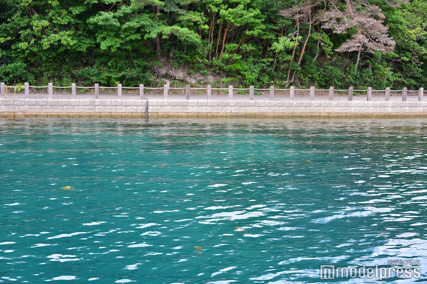 海岸線に茂る緑が水面に映りこみ深い青さに見える（C）モデルプレス