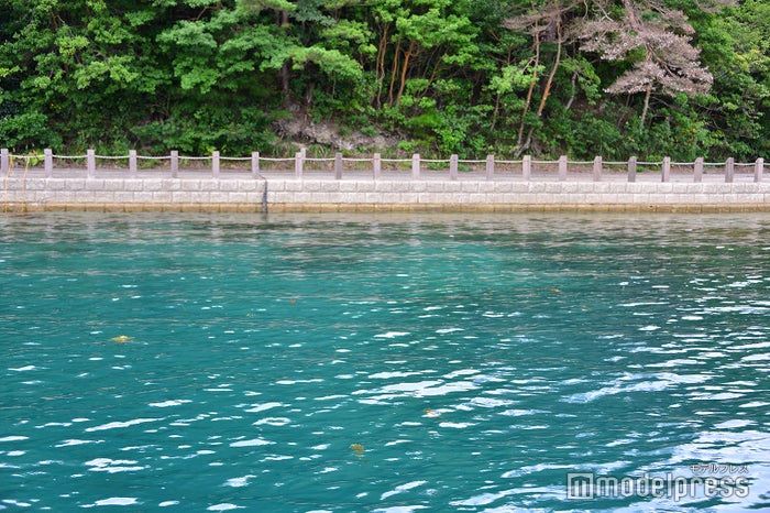 海岸線に茂る緑が水面に映りこみ深い青さに見える(C)モデルプレス