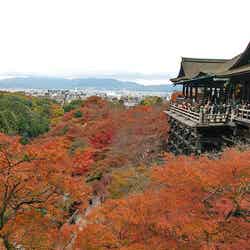 清水寺/IMGP8074 by Kyoto-Picture