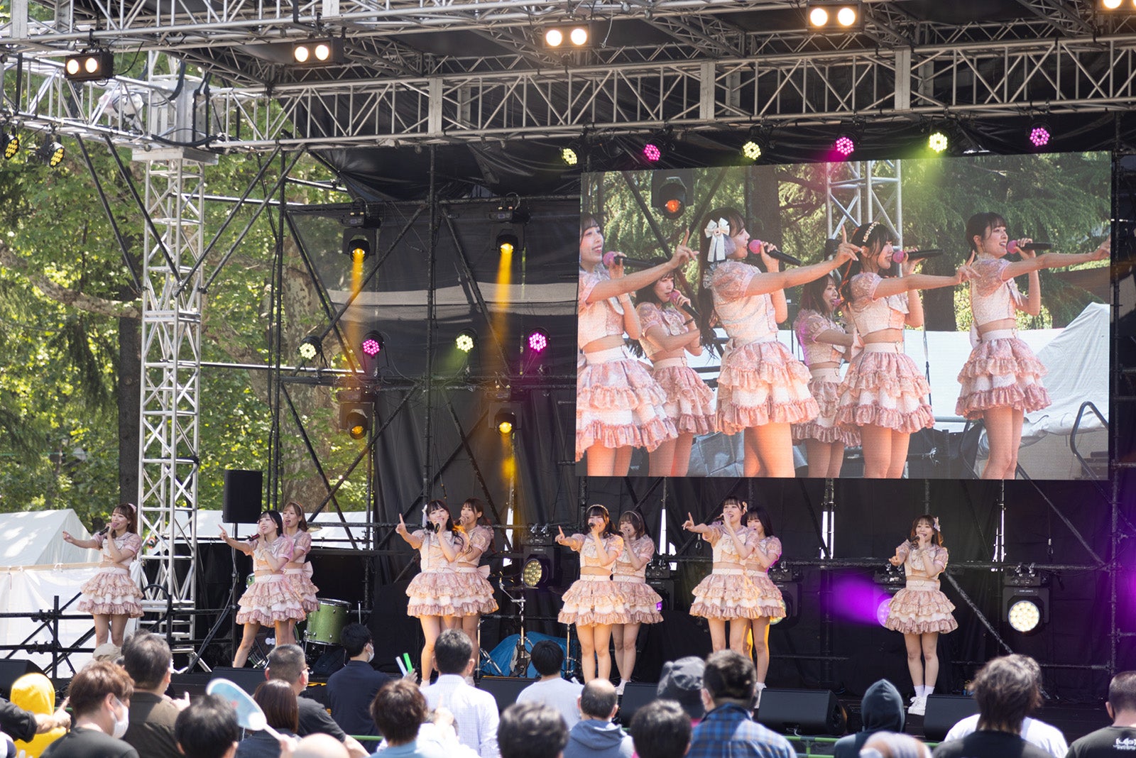 アルテミスの翼（提供写真）