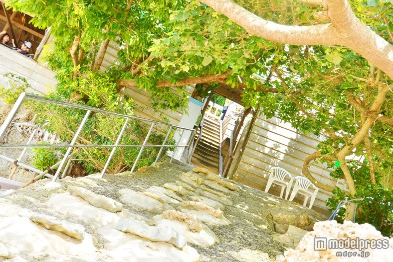 店内から砂浜へ続く道