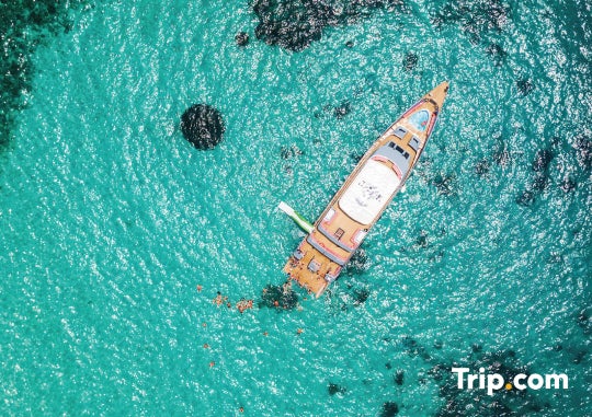 Trip.com（提供素材）