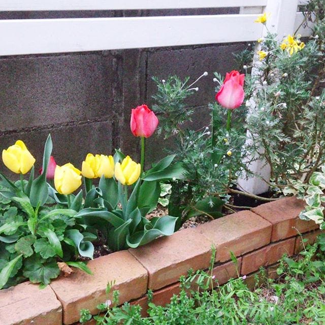 小さい花壇も作り方で華やかに ガーデニングを美しく見せるおしゃれなレイアウト モデルプレス