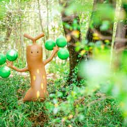 ポケパーク カントー/提供写真