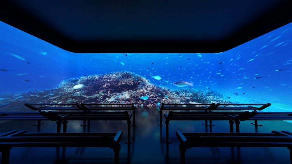 沖縄「DMMかりゆし水族館」3エリアをリニューアル、沖縄の海の美しさに浸る新展示