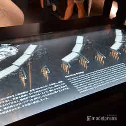 日本館(C)モデルプレス