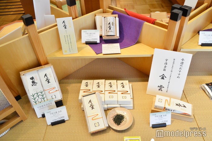 宇治玉露・金雲（C）ビューティーガール