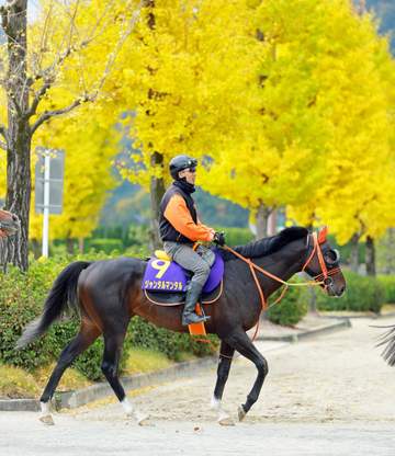 マイルCS覇者ジャンタルマンタルが香港のチャンピオンマイルに出走 鞍上は引き続き川田