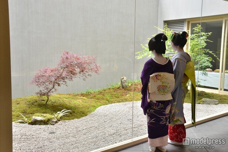 店内から中庭を眺められる