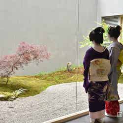 店内から中庭を眺められる