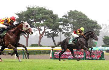 【新潟記念】ゾロアストロ 強敵撃破で重賞2勝目 荒れたインからG1馬5頭をなで斬り 春の巻き返しへ秋の盾見据える