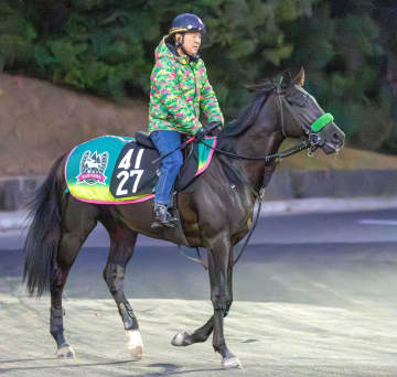 【新馬戦】ロードスタニング 杉山晴厩舎から注目の大器、父はコントレイル ゲルチュタールと併入など互角以上