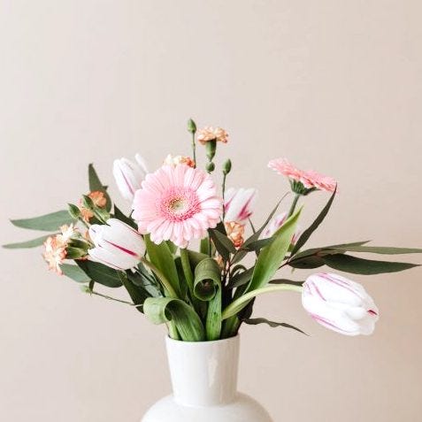 敬老の日に贈りたい花言葉一覧 愛情や健康の願いを込めたおすすめの花をご紹介 モデルプレス 敬老の日に贈りたい花言葉一覧 愛情や健康の願いを込めたおすすめの花をご紹介 モデルプレス