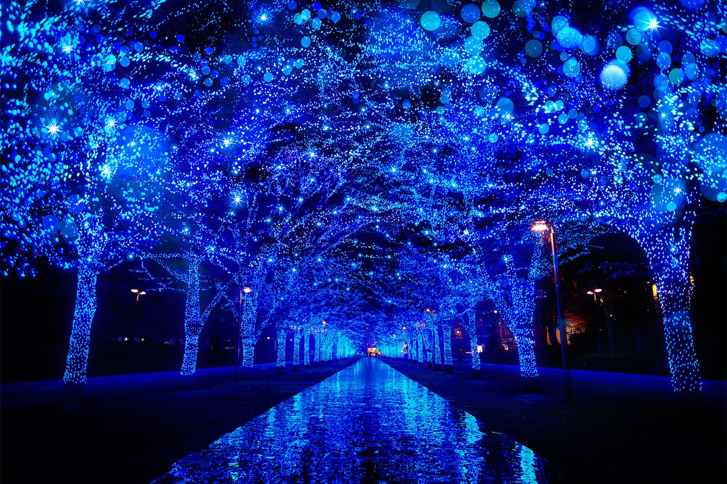 「青の洞窟SHIBUYA」2017年は光動く演出も、60万球輝く幻想的な青の世界