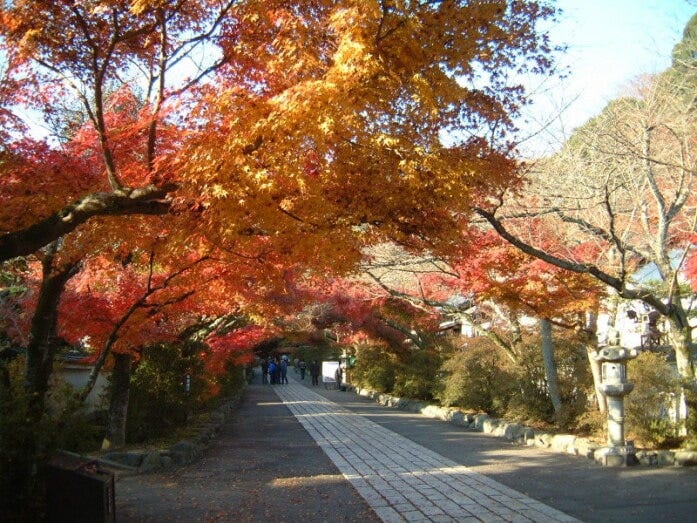 石山寺の紅葉（2007年12月2日撮影）