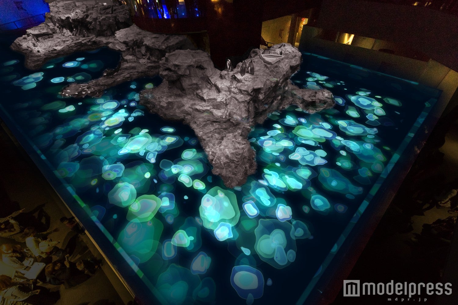 「ペンギンピクニック」イメージ／画像提供：すみだ水族館