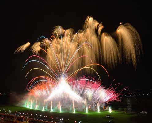 令和最初の「葛飾納涼花火大会」開催 約13,000発打ち上げ