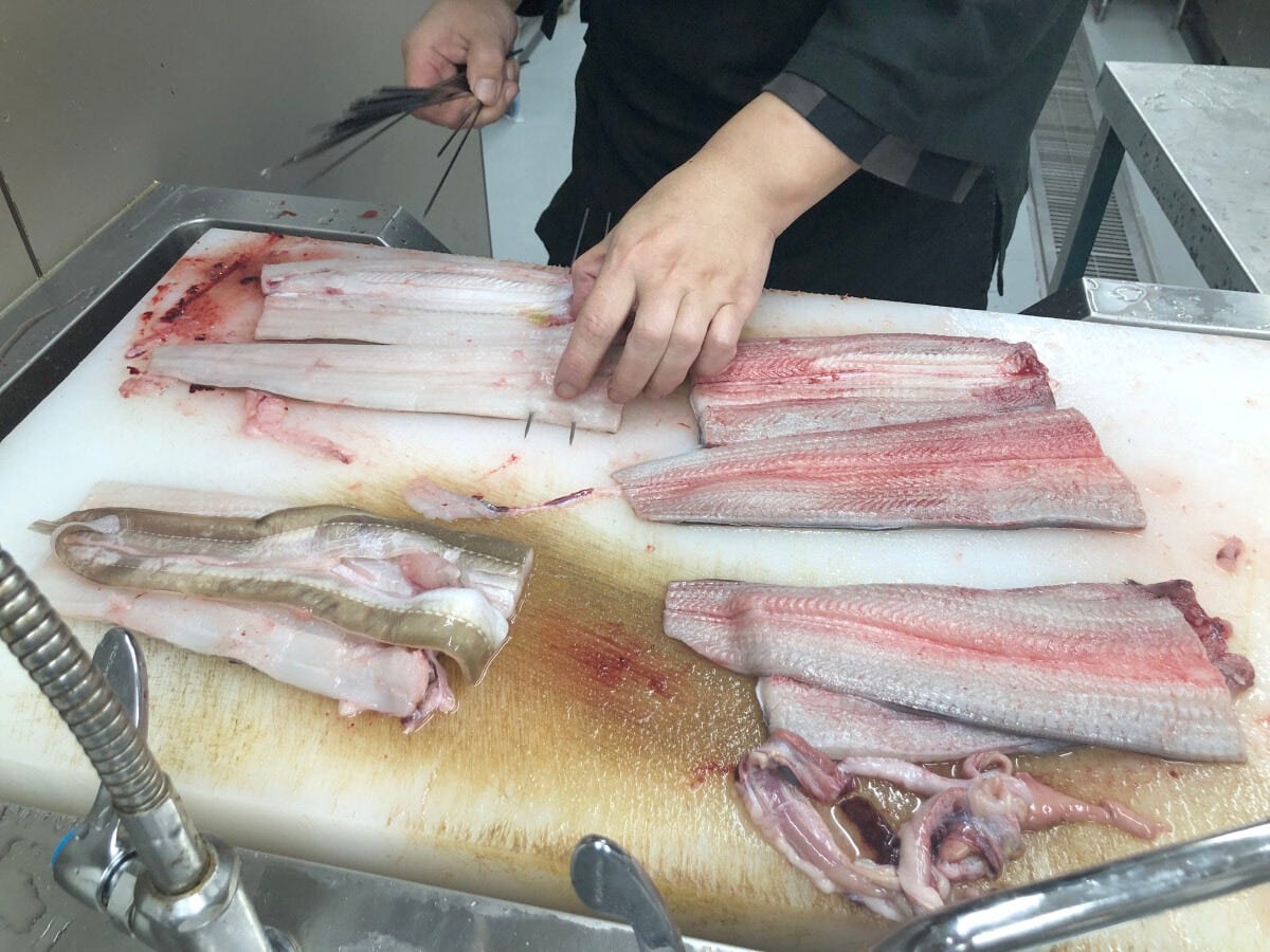 うなぎと穴子の身の質感はどう違うのか（串打ちしている写真左側が穴子、右側の少し赤みがあるのがうなぎ）