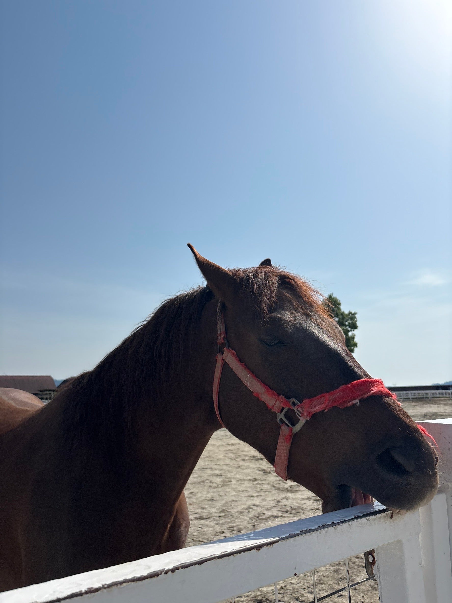 山下伶亜奈「JKラストのGW」（提供写真）