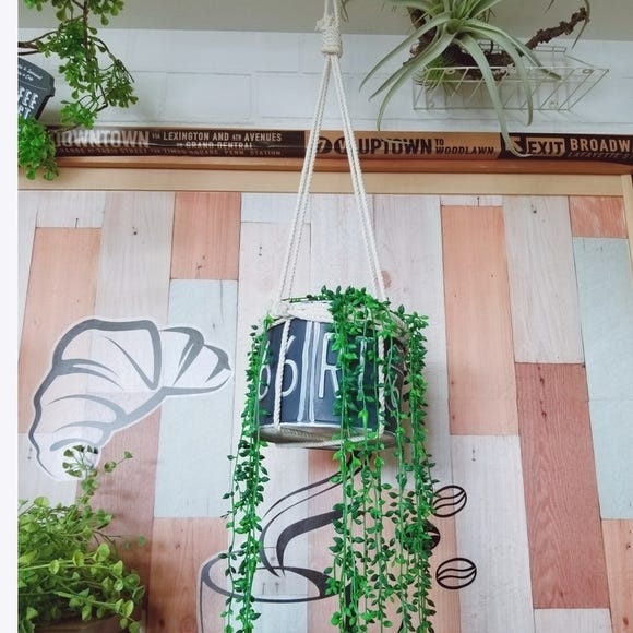 100均 観葉植物を吊るすハンギングプランター集 簡単に出来るおしゃれな飾り方 モデルプレス 100均 観葉植物を吊るすハンギングプランター集 簡単に出来るおしゃれな飾り方 モデルプレス