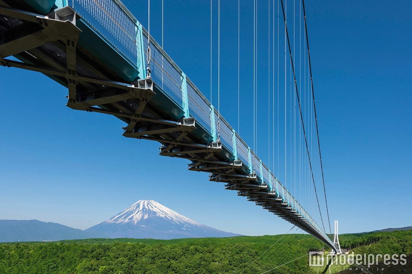 絶景＆贅沢グルメを1日で満喫、夏の箱根西麓日帰り旅行プラン