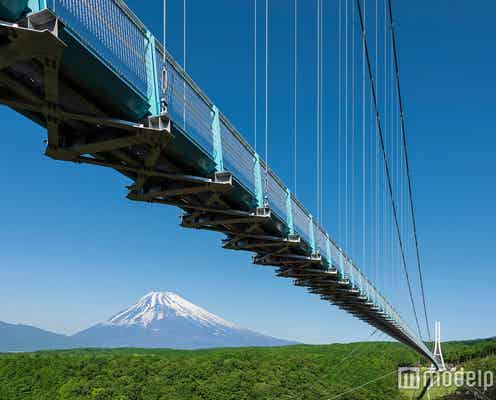 絶景&贅沢グルメを1日で満喫、夏の箱根西麓日帰り旅行プラン