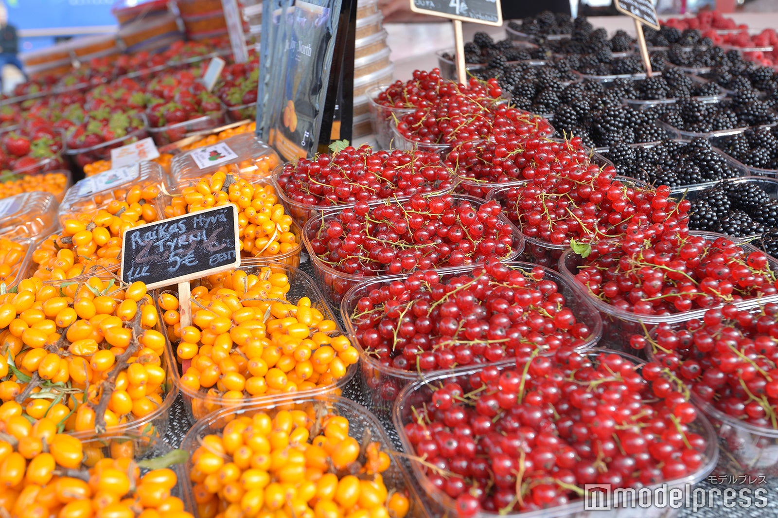 朝市に並ぶ様々なベリー （C）モデルプレス