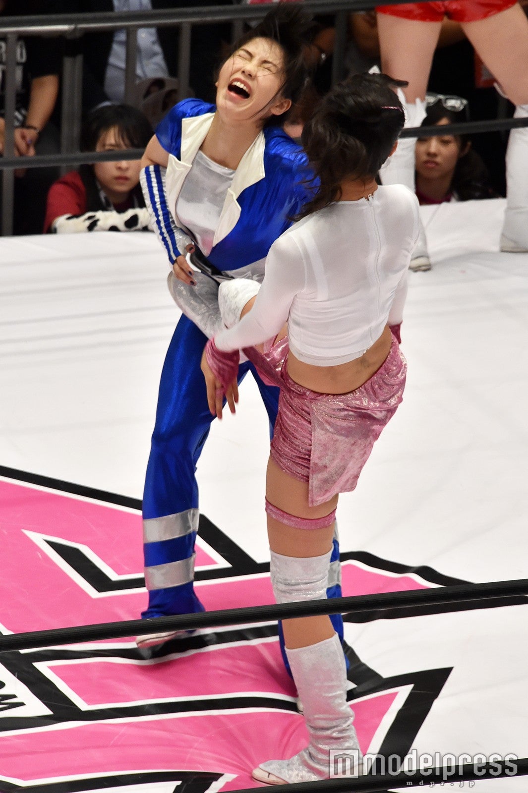 豆腐プロレス The REAL 2017 WIP CLIMAX（C）モデルプレス