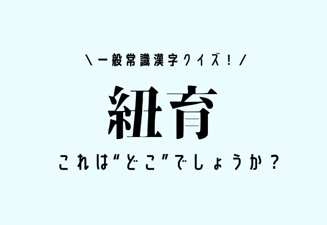 一般常識漢字クイズ 紐育 分かって当然 これは どこ でしょうか モデルプレス