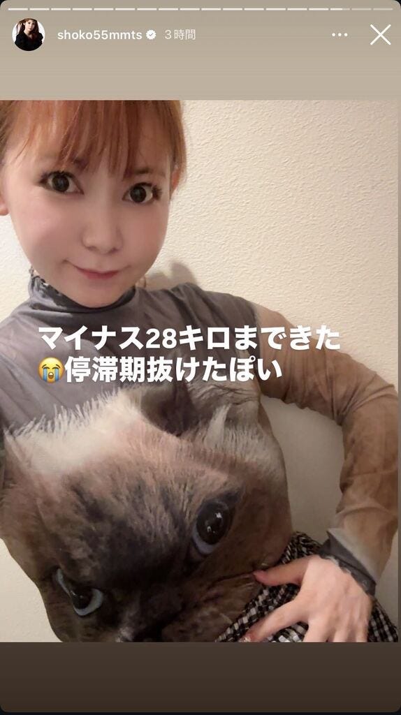 中川翔子Instagramストーリーズより