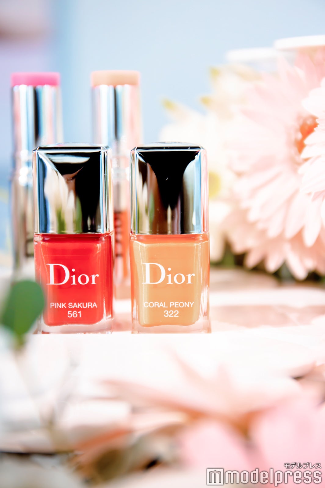 （C）モデルプレス