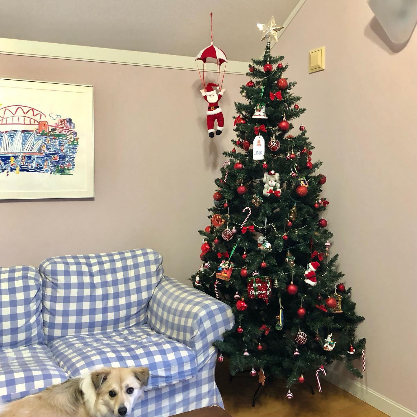 peco公式Instagramより