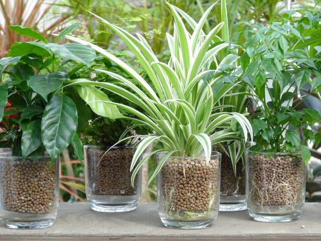 グリーンマーケット／画像提供：横浜赤レンガ倉庫