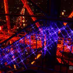 青い星の外階段/画像提供:東京タワー