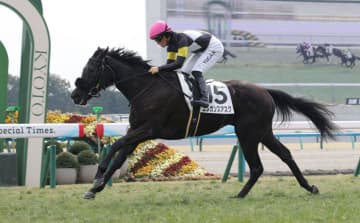【新馬戦】エレガンスアスク 3馬身差で初陣飾る 川田も納得「返し馬から雰囲気良く、その通りに」