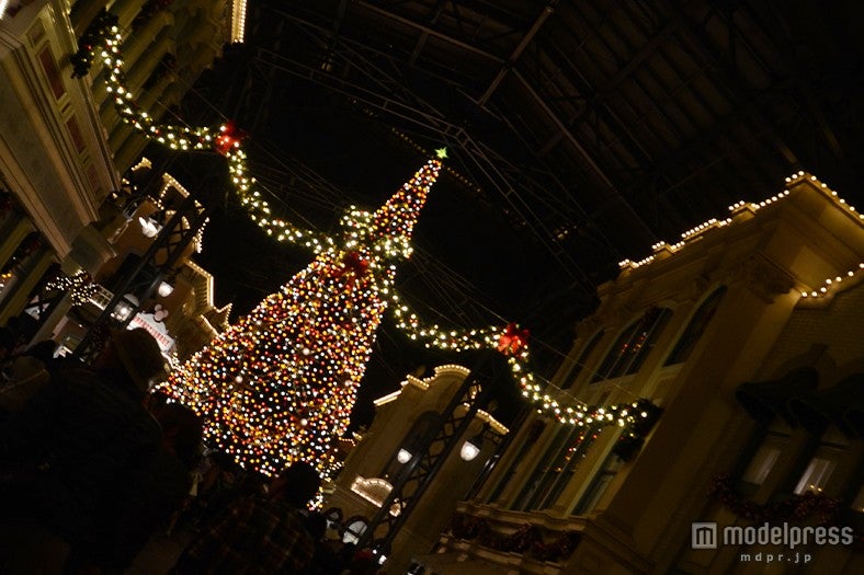 ライトアップされたクリスマスツリー