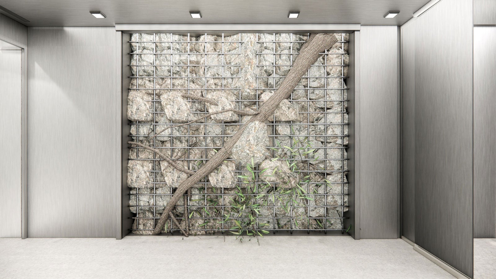 「INNISFREE」店舗イメージ（提供写真）