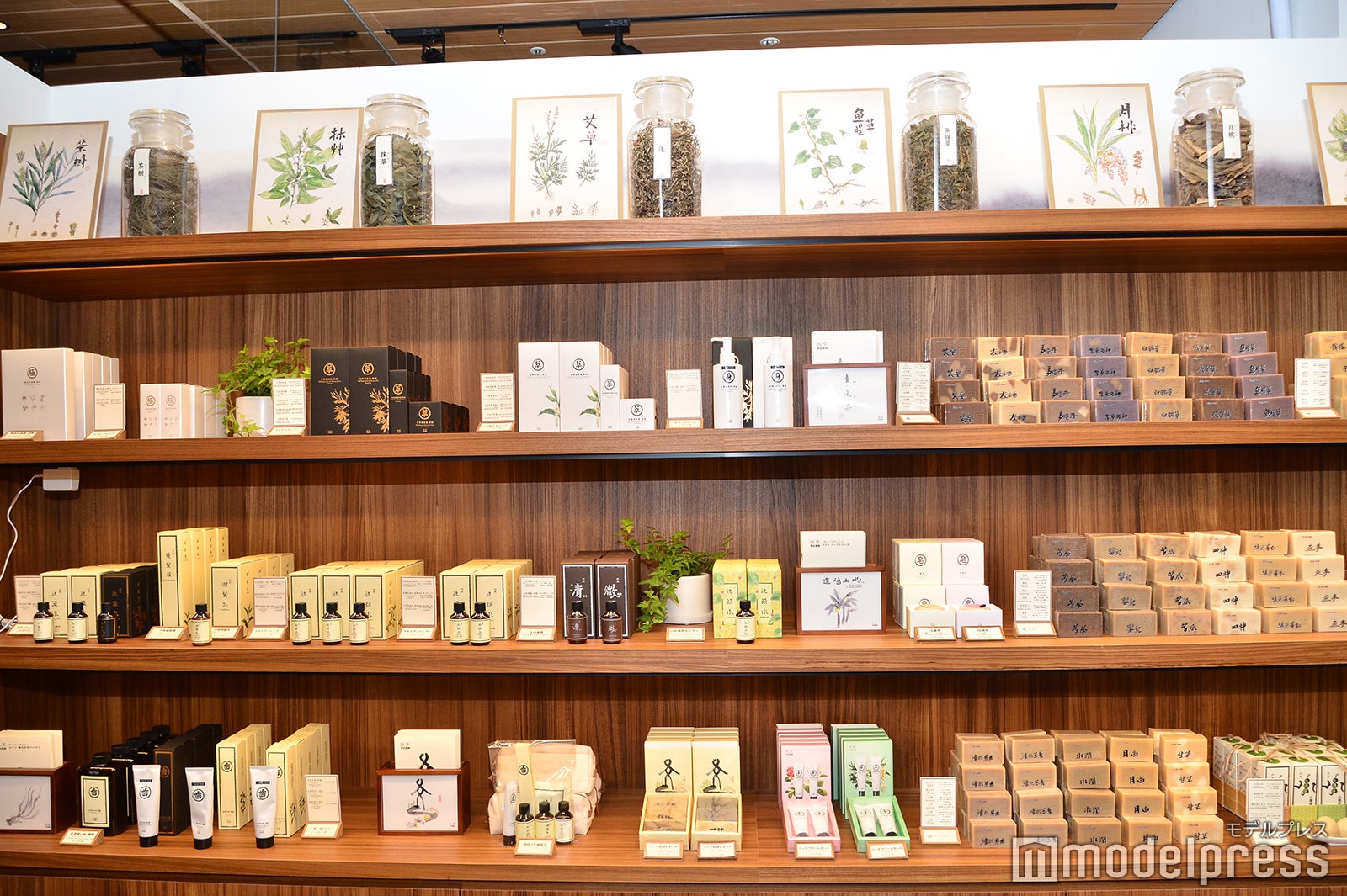 YUAN（C）モデルプレス