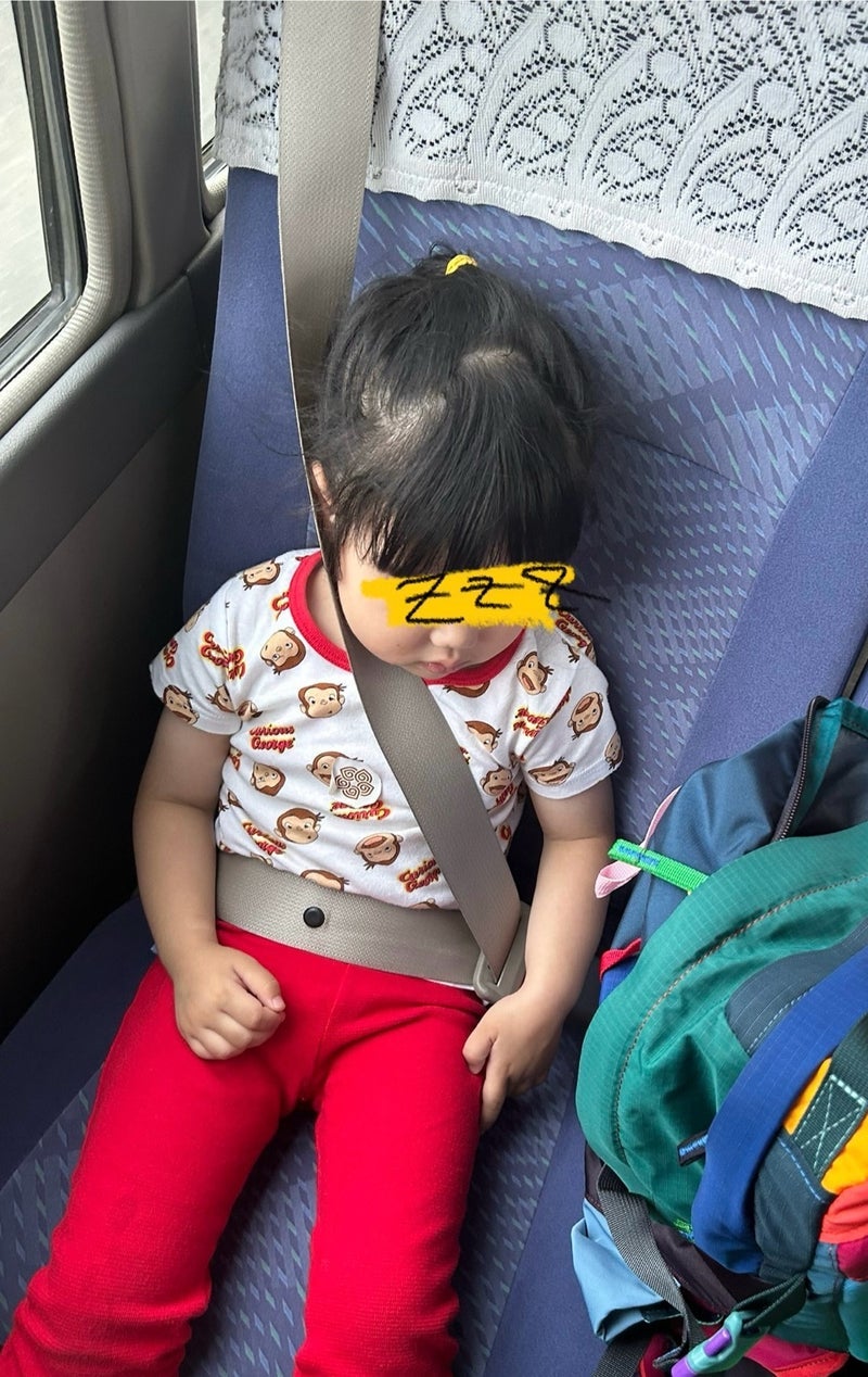 平野ノラ オフィシャルブログより