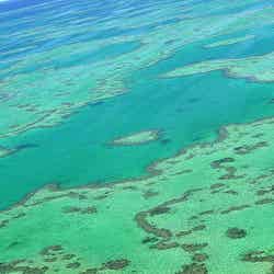 オーストラリア「ハートリーフ」/Photo by krossbow