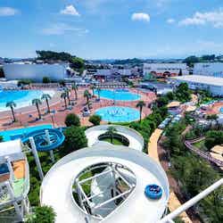 プールWAI全景/画像提供:よみうりランド