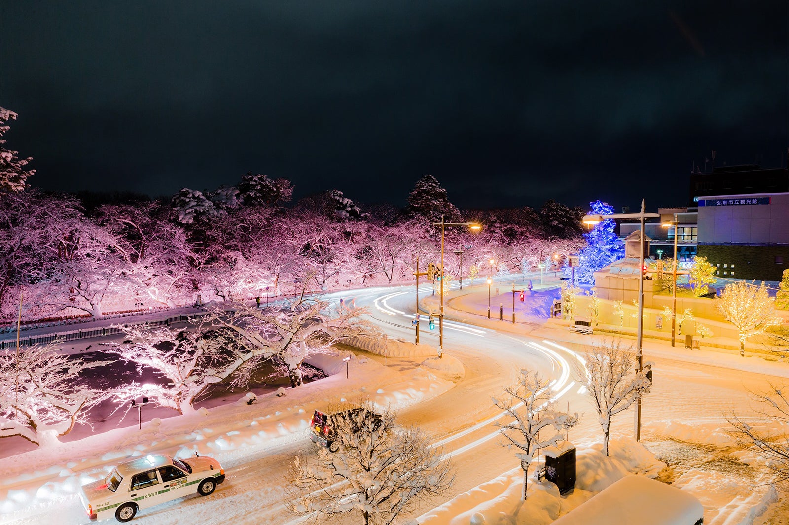 冬に咲くさくらライトアップ／画像提供：米山竜一