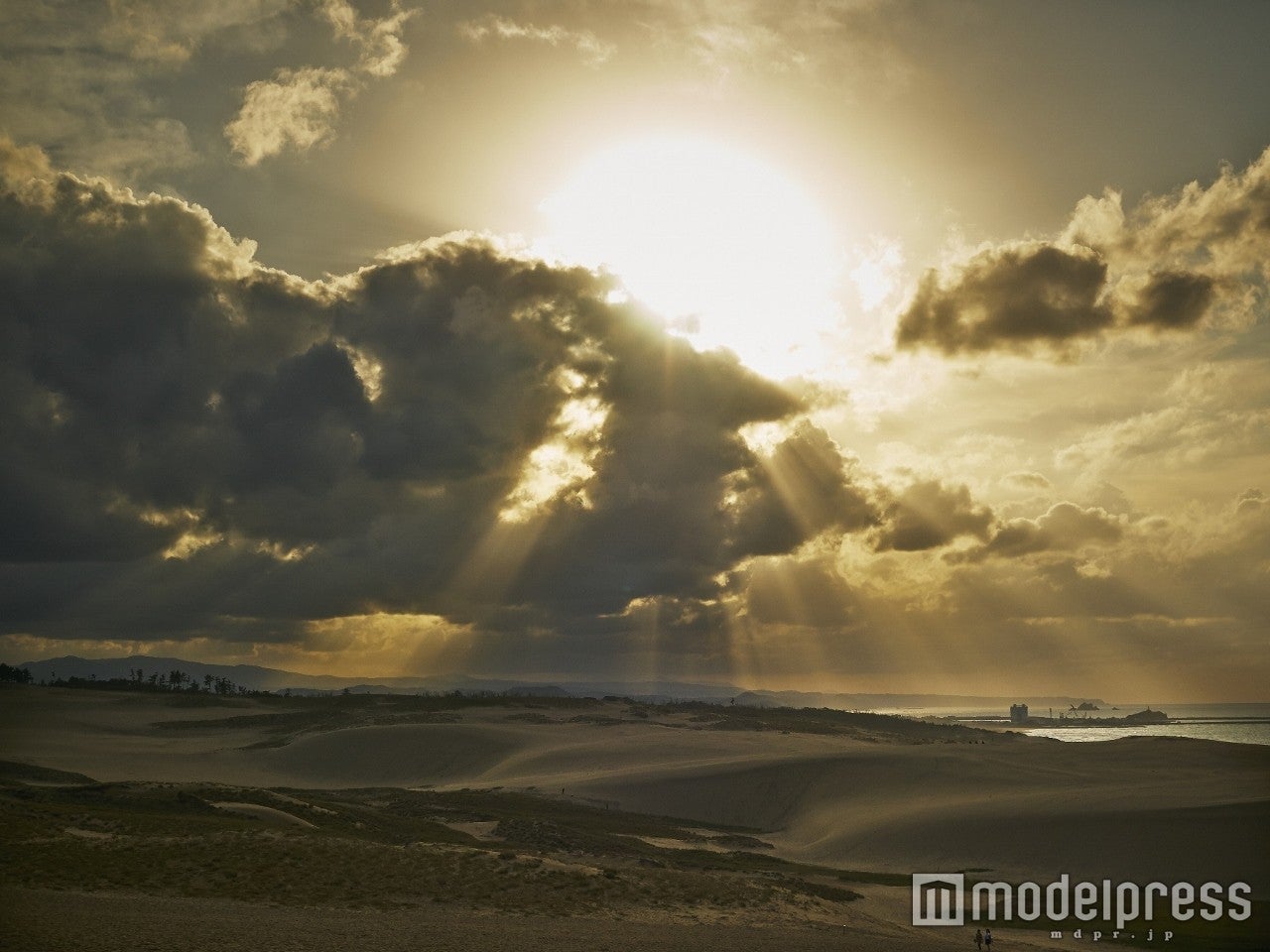 AIKU写真展「瞬間の色～愛～」