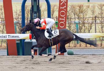 【ケンタッキーダービー】ダノンバーボンは5着、西村淳「本当に悔しい」 ゴールデンテンポが歴史的勝利