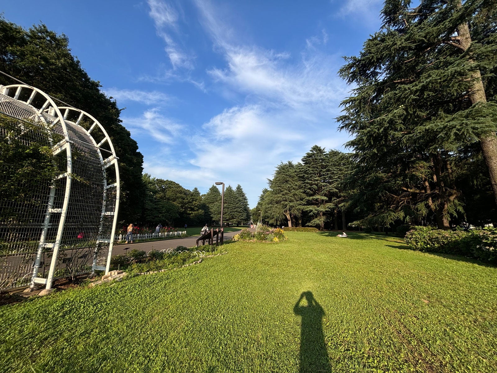 古敷谷宗「夢」（提供写真）