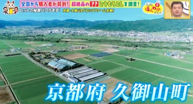 【京都・久御山町】全国から購入者が殺到!1日数千本も売れた「白いスイートコーン」とは?