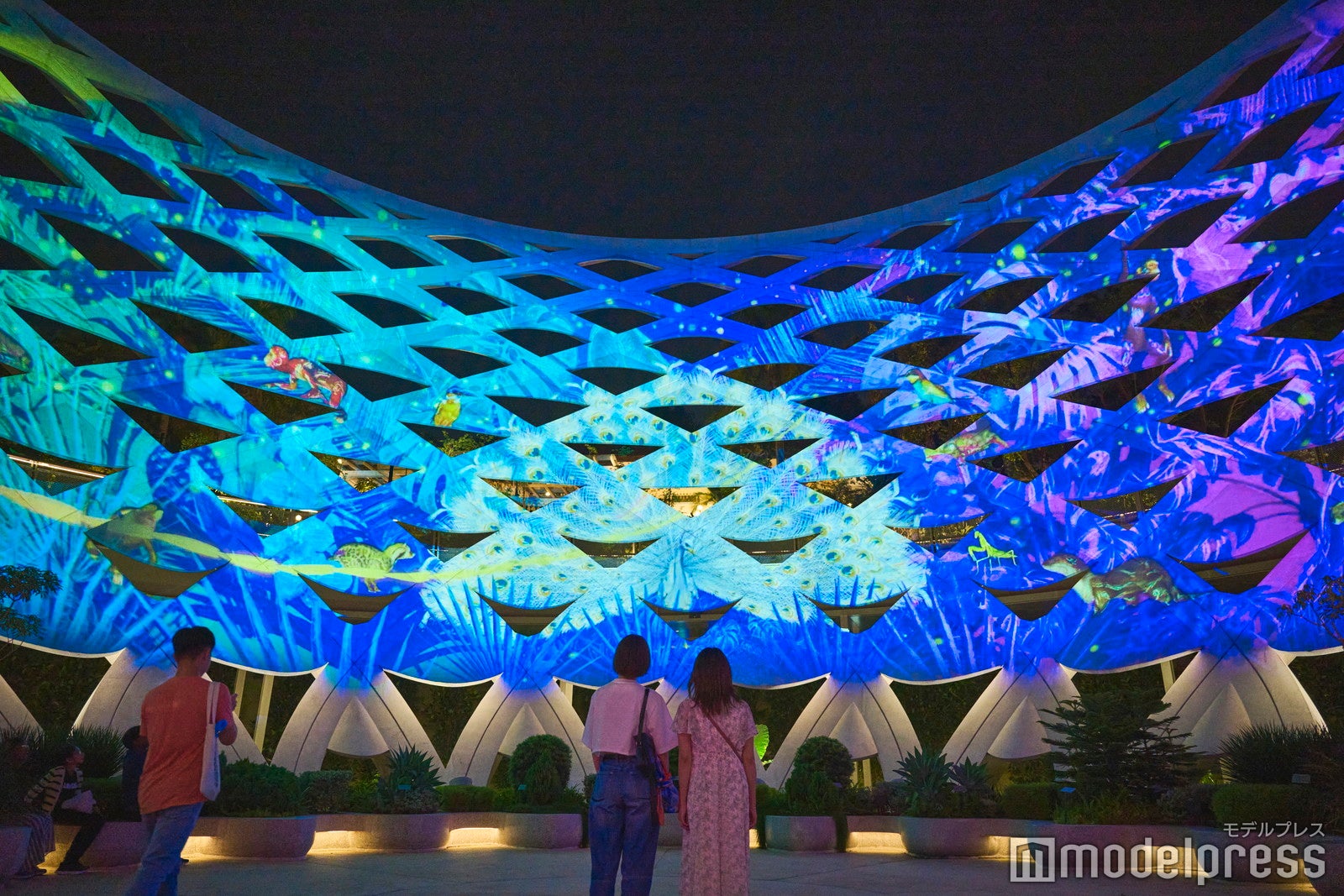 センソリースケープ（C）モデルプレス