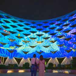 センソリースケープ(C)モデルプレス